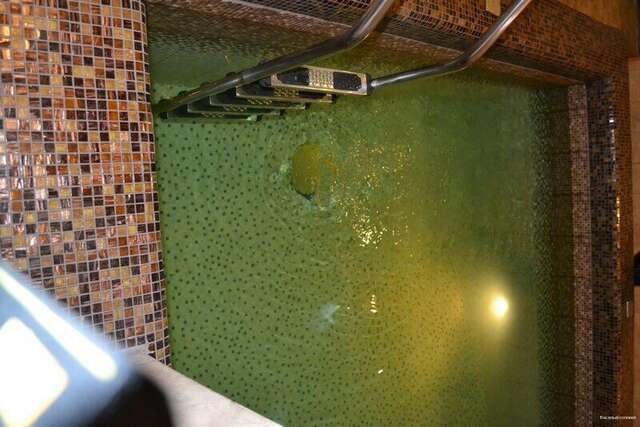 Гостиница Веселый соловей Иваново-29